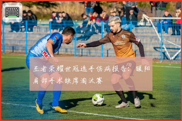 王者荣耀世冠选手伤病报告：暖阳肩部手术缺席淘汰赛