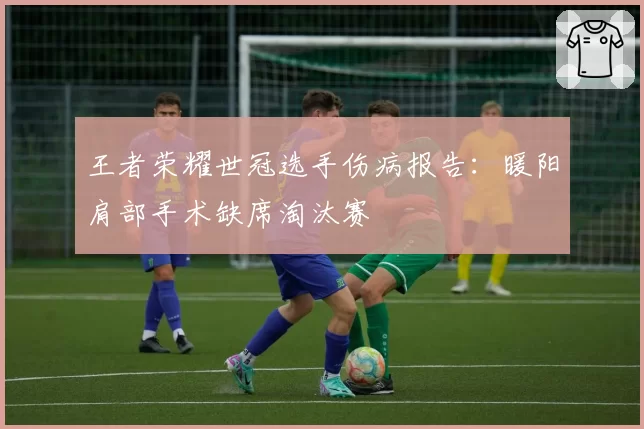 王者荣耀世冠选手伤病报告：暖阳肩部手术缺席淘汰赛